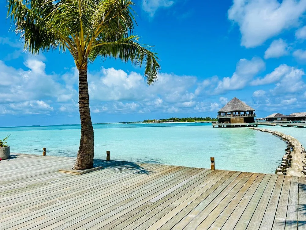 Jawakara Islands Maldives 5*: Бассейн и пляж 6
